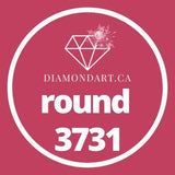 Round Diamonds DMC 3300 - 3799-500 diamonds (3 grams)-3731-DiamondArt.ca