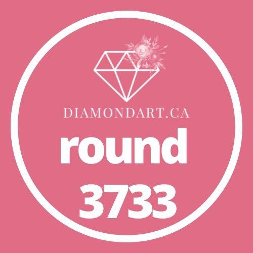 Round Diamonds DMC 3300 - 3799-500 diamonds (3 grams)-3733-DiamondArt.ca
