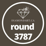 Round Diamonds DMC 3300 - 3799-500 diamonds (3 grams)-3787-DiamondArt.ca