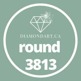 Round Diamonds DMC 3800 - 5200-500 diamonds (3 grams)-3813-DiamondArt.ca