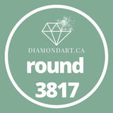 Round Diamonds DMC 3800 - 5200-500 diamonds (3 grams)-3817-DiamondArt.ca