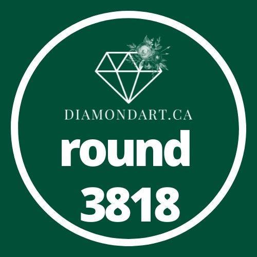 Round Diamonds DMC 3800 - 5200-500 diamonds (3 grams)-3818-DiamondArt.ca