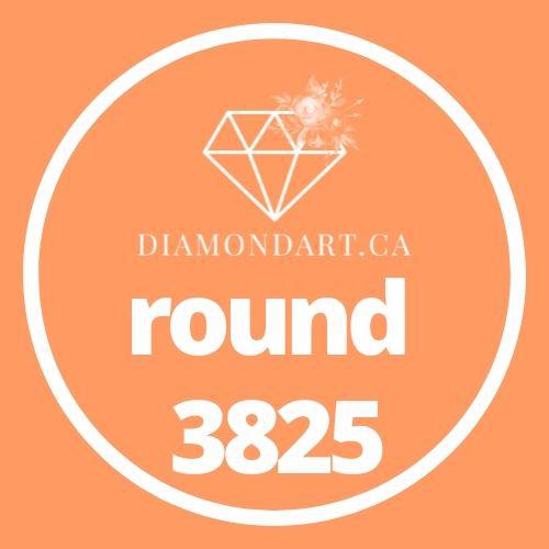 Round Diamonds DMC 3800 - 5200-500 diamonds (3 grams)-3825-DiamondArt.ca