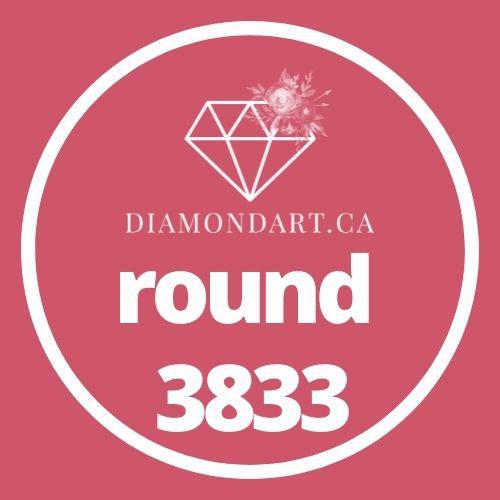 Round Diamonds DMC 3800 - 5200-500 diamonds (3 grams)-3833-DiamondArt.ca