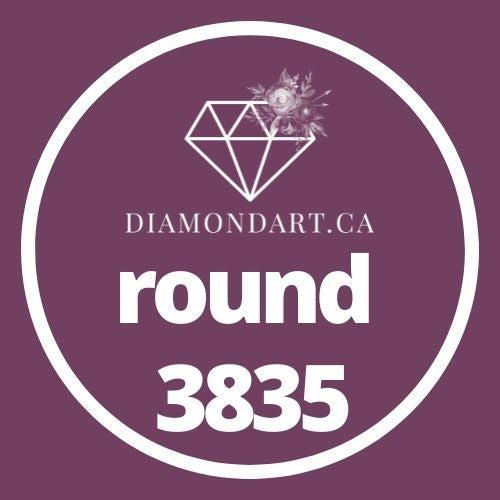 Round Diamonds DMC 3800 - 5200-500 diamonds (3 grams)-3835-DiamondArt.ca