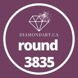 Round Diamonds DMC 3800 - 5200-500 diamonds (3 grams)-3835-DiamondArt.ca