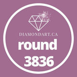Round Diamonds DMC 3800 - 5200-500 diamonds (3 grams)-3836-DiamondArt.ca