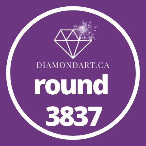 Round Diamonds DMC 3800 - 5200-500 diamonds (3 grams)-3837-DiamondArt.ca