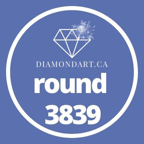 Round Diamonds DMC 3800 - 5200-500 diamonds (3 grams)-3839-DiamondArt.ca