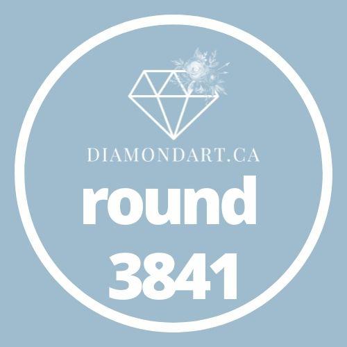 Round Diamonds DMC 3800 - 5200-500 diamonds (3 grams)-3841-DiamondArt.ca