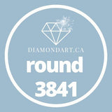 Round Diamonds DMC 3800 - 5200-500 diamonds (3 grams)-3841-DiamondArt.ca