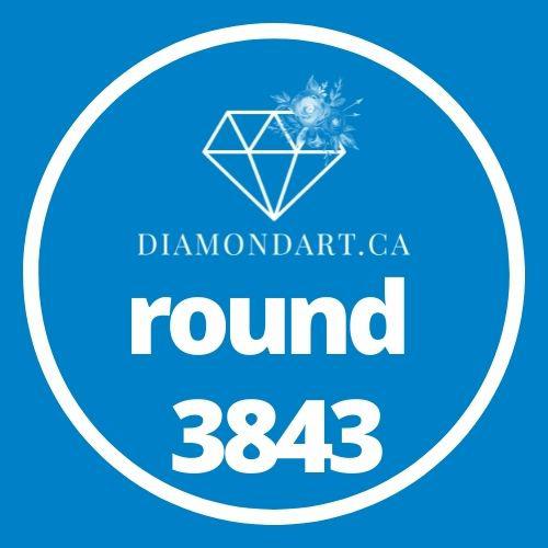 Round Diamonds DMC 3800 - 5200-500 diamonds (3 grams)-3843-DiamondArt.ca