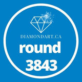 Round Diamonds DMC 3800 - 5200-500 diamonds (3 grams)-3843-DiamondArt.ca