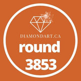 Round Diamonds DMC 3800 - 5200-500 diamonds (3 grams)-3853-DiamondArt.ca