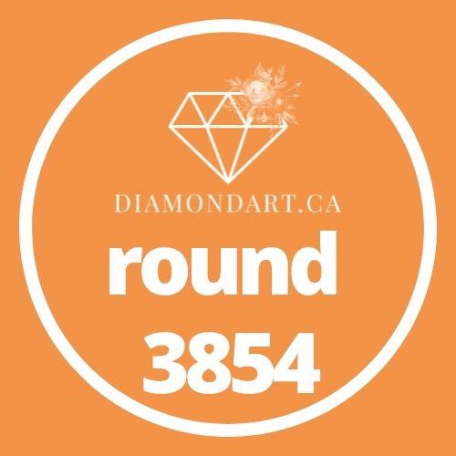Round Diamonds DMC 3800 - 5200-500 diamonds (3 grams)-3854-DiamondArt.ca