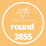 Round Diamonds DMC 3800 - 5200-500 diamonds (3 grams)-3855-DiamondArt.ca
