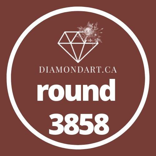 Round Diamonds DMC 3800 - 5200-500 diamonds (3 grams)-3858-DiamondArt.ca