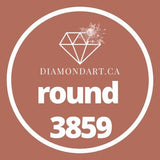 Round Diamonds DMC 3800 - 5200-500 diamonds (3 grams)-3859-DiamondArt.ca