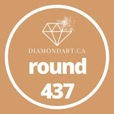 Round Diamonds DMC 100 - 499-500 diamonds (3 grams)-437-DiamondArt.ca