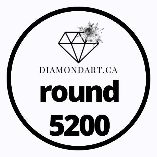 Round Diamonds DMC 3800 - 5200-500 diamonds (3 grams)-5200-DiamondArt.ca