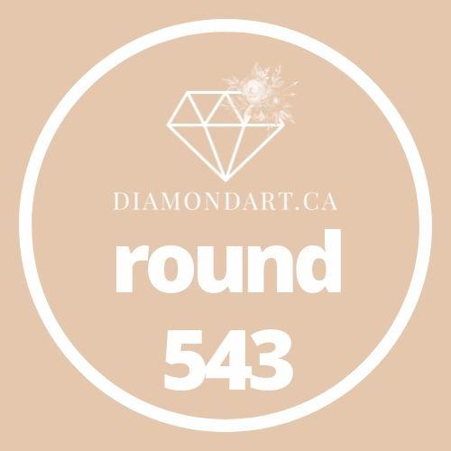 Round Diamonds DMC 500 - 699-500 diamonds (3 grams)-543-DiamondArt.ca