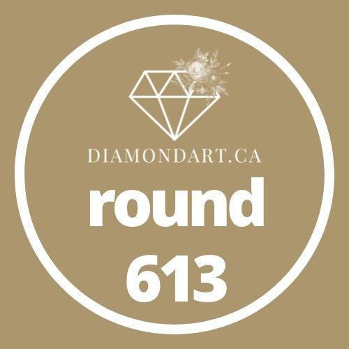 Round Diamonds DMC 500 - 699-500 diamonds (3 grams)-613-DiamondArt.ca