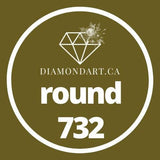 Round Diamonds DMC 700 - 899-500 diamonds (3 grams)-732-DiamondArt.ca