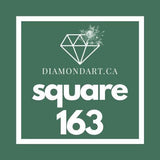 Square Diamonds DMC 100 - 499-500 diamonds (3 grams)-163-DiamondArt.ca