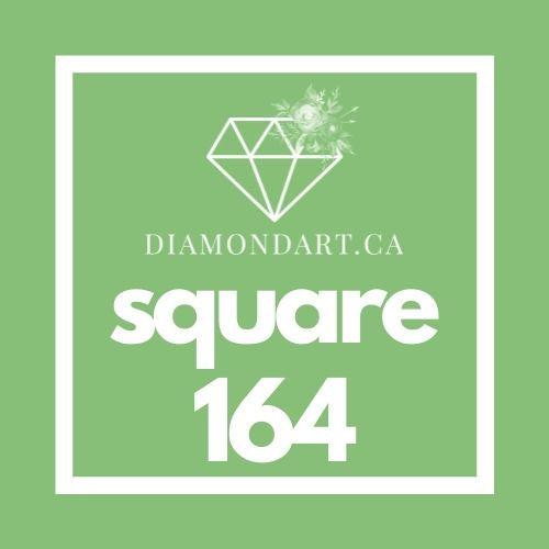 Square Diamonds DMC 100 - 499-500 diamonds (3 grams)-164-DiamondArt.ca