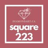 Square Diamonds DMC 100 - 499-500 diamonds (3 grams)-223-DiamondArt.ca