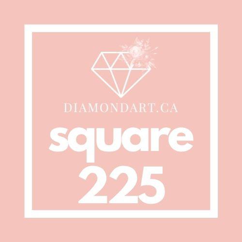 Square Diamonds DMC 100 - 499-500 diamonds (3 grams)-225-DiamondArt.ca