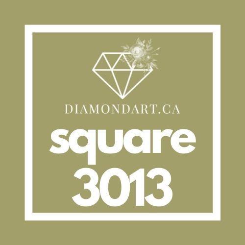 Square Diamonds DMC 900 - 3299-500 diamonds (3 grams)-3013-DiamondArt.ca