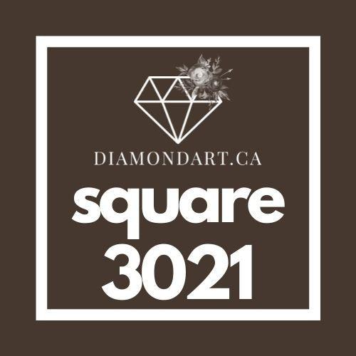 Square Diamonds DMC 900 - 3299-500 diamonds (3 grams)-3021-DiamondArt.ca