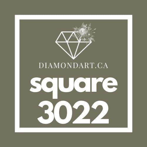 Square Diamonds DMC 900 - 3299-500 diamonds (3 grams)-3022-DiamondArt.ca