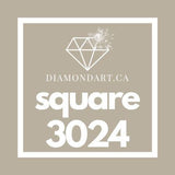 Square Diamonds DMC 900 - 3299-500 diamonds (3 grams)-3024-DiamondArt.ca
