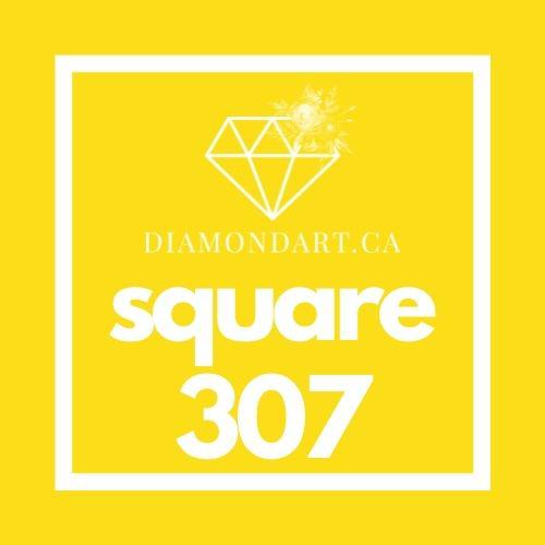 Square Diamonds DMC 100 - 499-500 diamonds (3 grams)-307-DiamondArt.ca