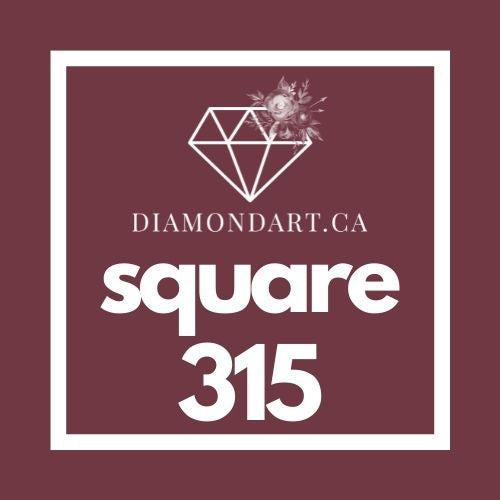 Square Diamonds DMC 100 - 499-500 diamonds (3 grams)-315-DiamondArt.ca