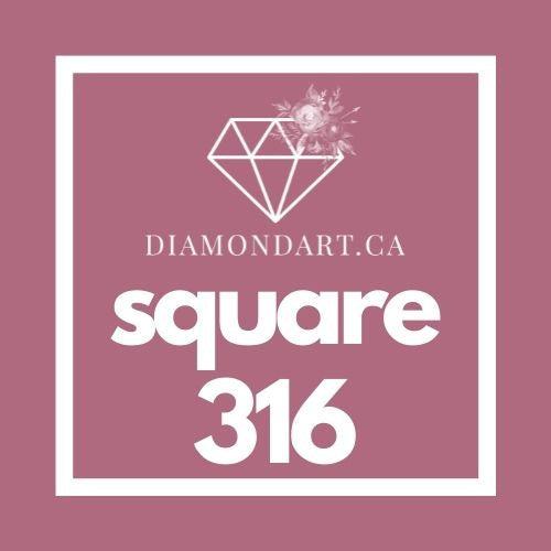 Square Diamonds DMC 100 - 499-500 diamonds (3 grams)-316-DiamondArt.ca
