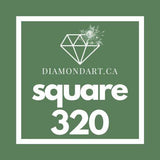 Square Diamonds DMC 100 - 499-500 diamonds (3 grams)-320-DiamondArt.ca