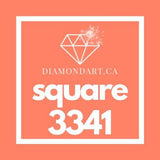 Square Diamonds DMC 3300 - 3799-500 diamonds (3 grams)-3341-DiamondArt.ca