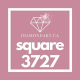 Square Diamonds DMC 3300 - 3799-500 diamonds (3 grams)-3727-DiamondArt.ca