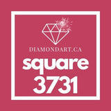 Square Diamonds DMC 3300 - 3799-500 diamonds (3 grams)-3731-DiamondArt.ca