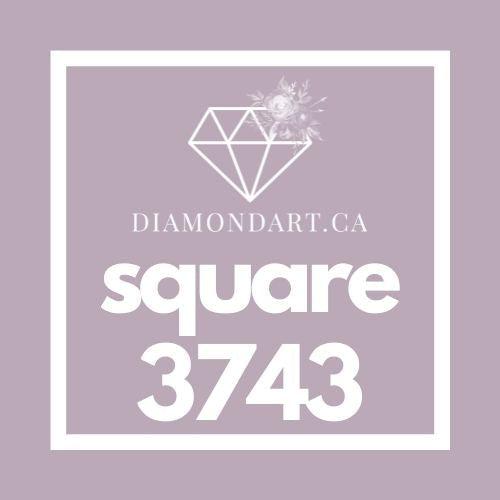 Square Diamonds DMC 3300 - 3799-500 diamonds (3 grams)-3743-DiamondArt.ca