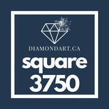 Square Diamonds DMC 3300 - 3799-500 diamonds (3 grams)-3750-DiamondArt.ca