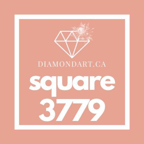 Square Diamonds DMC 3300 - 3799-500 diamonds (3 grams)-3779-DiamondArt.ca