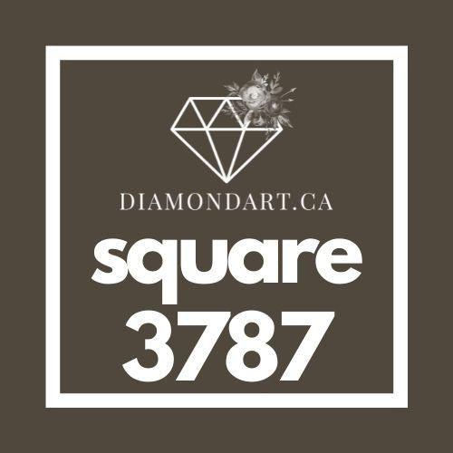 Square Diamonds DMC 3300 - 3799-500 diamonds (3 grams)-3787-DiamondArt.ca