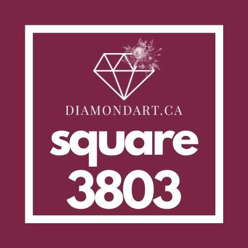 Square Diamonds DMC 3800 - 5200-500 diamonds (3 grams)-3803-DiamondArt.ca