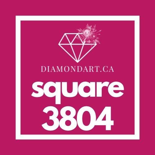 Square Diamonds DMC 3800 - 5200-500 diamonds (3 grams)-3804-DiamondArt.ca