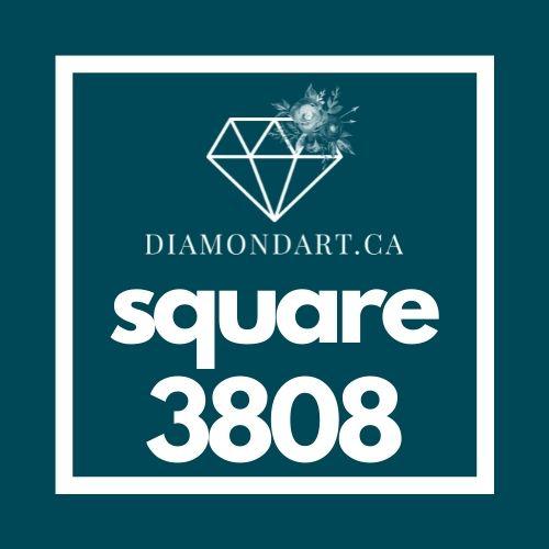 Square Diamonds DMC 3800 - 5200-500 diamonds (3 grams)-3808-DiamondArt.ca