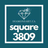 Square Diamonds DMC 3800 - 5200-500 diamonds (3 grams)-3809-DiamondArt.ca